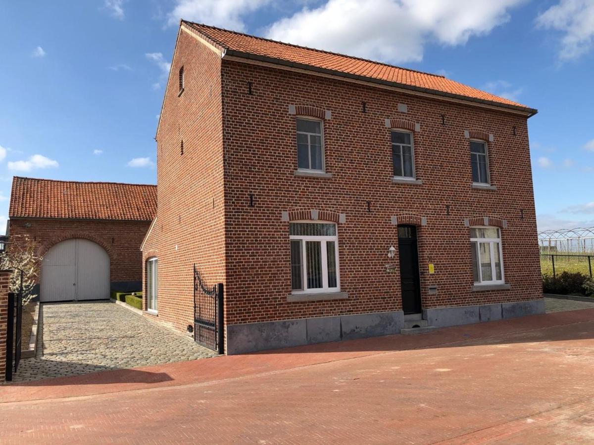 Hoeve De Singel Borgloon Exteriér fotografie